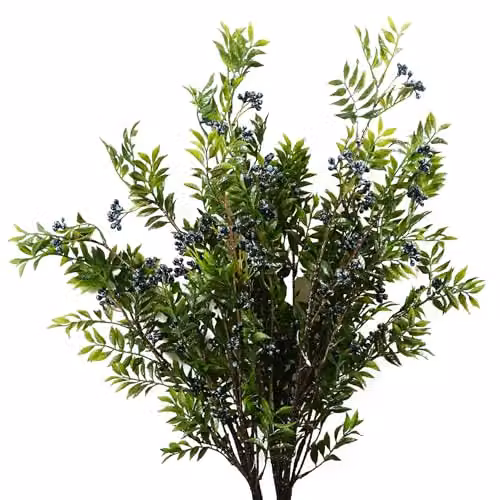 Pegdev Pack of 6 Blue Berry Artificial Nandina Foliage Sprays in Green, 70 cm
