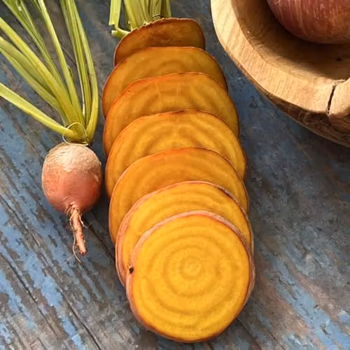 Thompson & Morgan Golden Eye Beetroot Seeds, Yellow Variety – 2