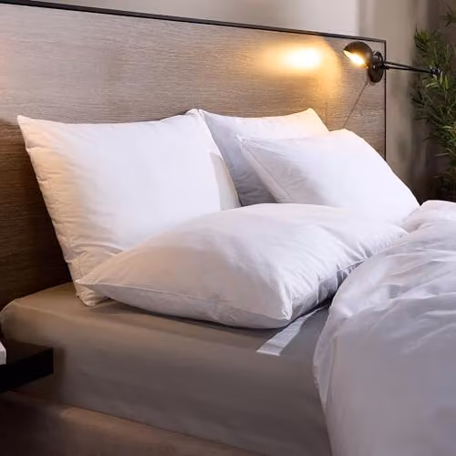 Snuggledown 2 Pack Luxury Cotton Pillows with Hollow Fibre Filling for Back and Side Sleepers, White, W: 74 cm, H: 48 cm – 2