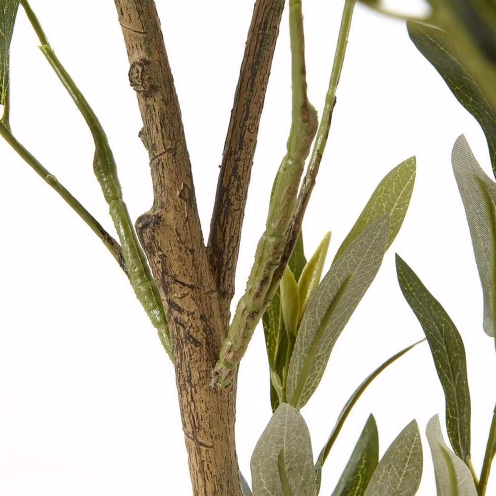 Lemon Pavilion Apulia Mediterranean Olive Tree in Pot, Green, Brown and White, Height: 150 cm – 3