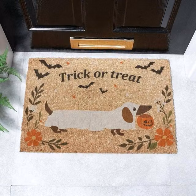 Artsy Mats Trick Or Treat Doormat in Brown, W/D/H: 60 x 40 cm
