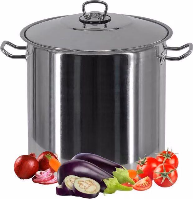Geezy 8.5L Stainless Steel Stock Pot with Induction Base, Silver