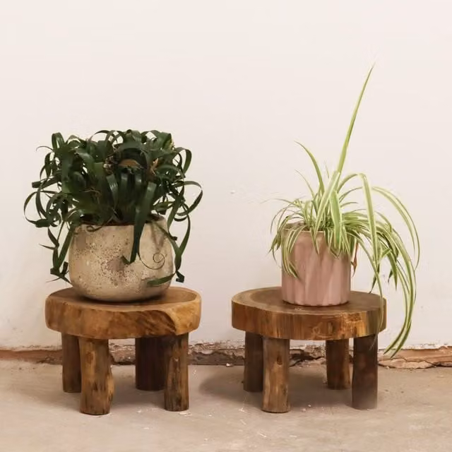 KDMK Brown Rustic Rectangular Teak Wood Display Pads for Decor and Plants, W: 27 cm, D: 15 cm