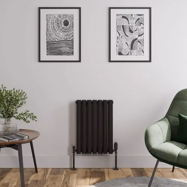 Temprazo Oval Tube Double Panel Horizontal Designer Radiator in Black, W: 60.0 cm, H: 42.0 cm, D: 42.0 cm