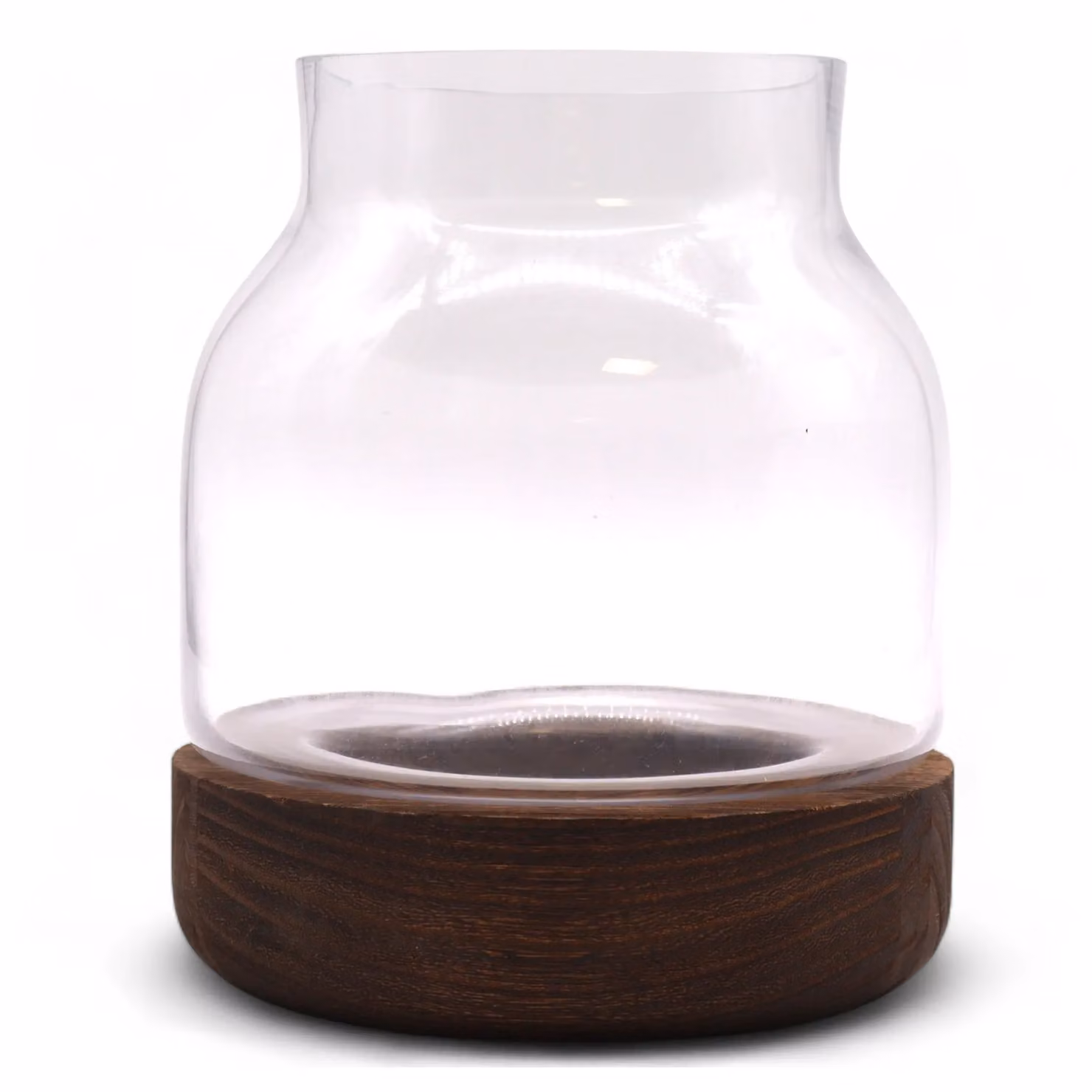 KDMD Medium Shaped Glass Terrarium on Dark Tung Wood in Brown – 2