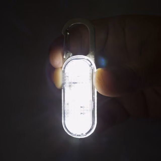 Echo Three Lumi-Clip in Silver and Transparent Plastic