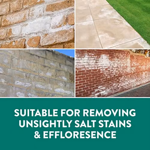 GLEAN Salt Stain and Efflorescence Remover, 5 l, Transparent Brick and Stone Cleaner for Concrete and Walls – 2