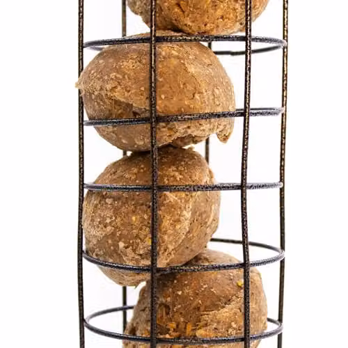 Voltico Hanging Wire Cage Seed Feeder for Wild Birds in Black, Diameter: 24 cm – 2