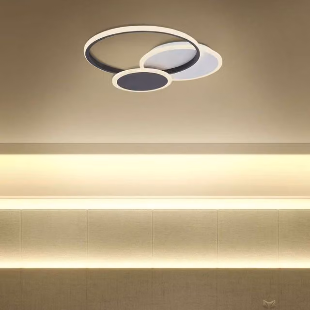 Wyld and Coco Round LED Flush Ceiling Light in White Aluminium and Plastic, W/D/H: 30 x 30 x 3 cm