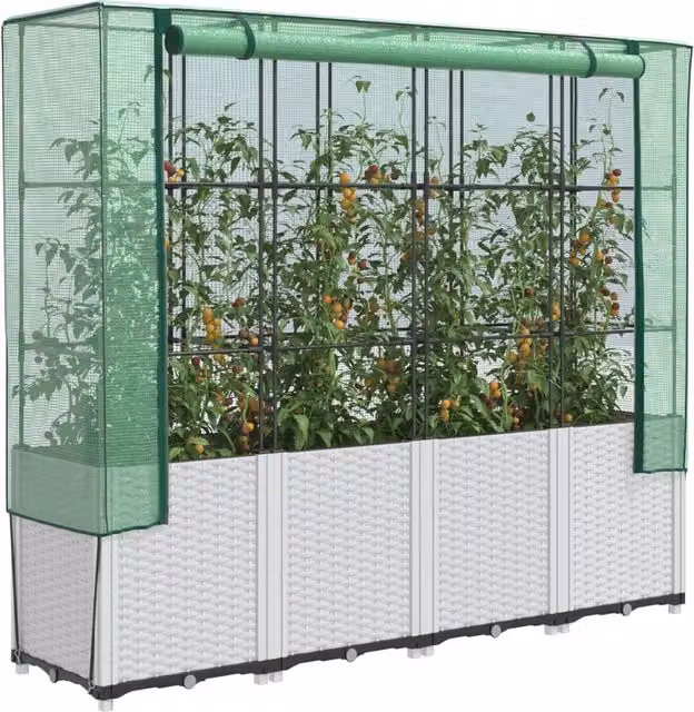 Berkfield Home Raised Bed with Greenhouse Cover in White Rattan Look, W/D/H: 160 x 40 x 153 cm