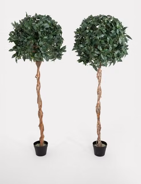 Blooming Artificial Set of 2 Tall Bay Trees in Round Pots, Green, Height: 152.4 cm