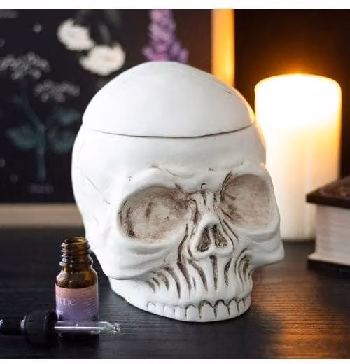 KDMD Weathered Skull Ceramic Oil Burner and Wax Warmer in Beige – 1