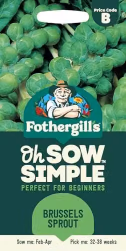 Mr Fothergill's Oh Sow Simple Brussels Sprout Vegetable Seeds, Green – 1
