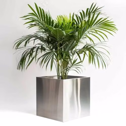 Tulipy Galvanised Steel Square Planter Tub, Silver, W: 60 cm, D: 60 cm, H: 60 cm – 2
