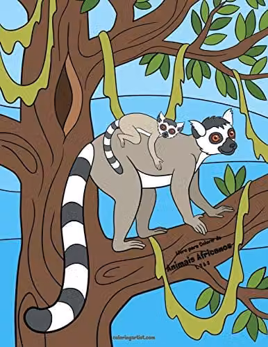 African Animals Colouring Book 1, 2 & 3 by Independently Published, Multicolour