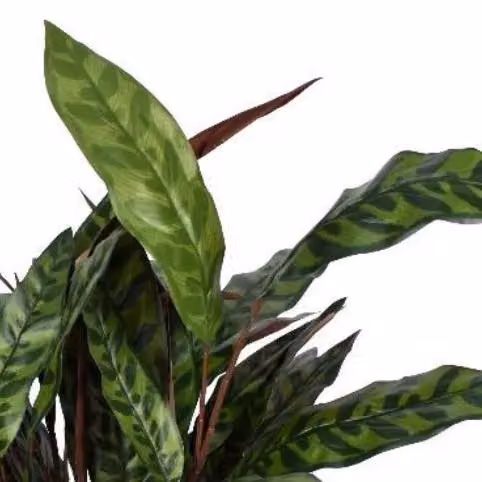 Leaf UK Green Fire Retardant Artificial Peacock Foliage Bush, Height: 90 cm – 2
