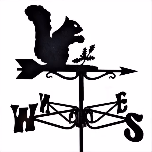 Espira Squirrel Mini Metal Weathervane in Black