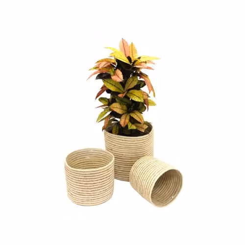 Garden Gear Chia Seagrass Planter Basket Set of 3 in Grey and Sand with Interior Plastic Coating – 1