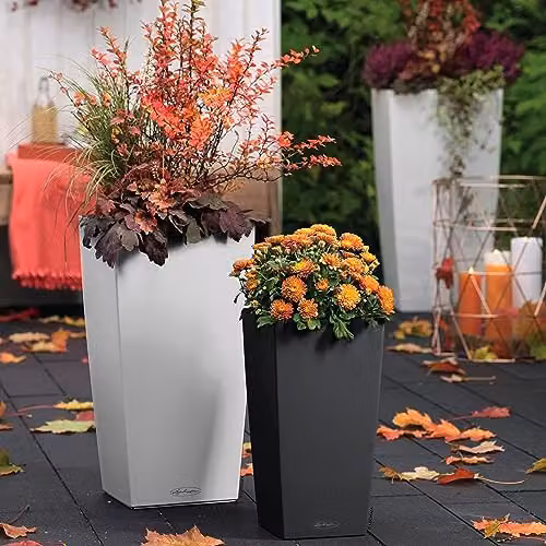 Lechuza CUBICO Color 30 Self Watering Planter in Grey Plastic for Indoor and Outdoor Use, H: 56 cm, W: 30 cm, D: 30 cm – 6