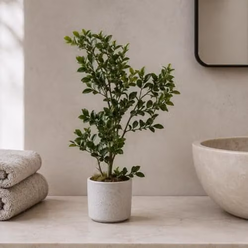 Leaf Green Artificial Bonsai Tabletop Tree H 45.0 cm x W 20.0 cm x D 20.0 cm – 2