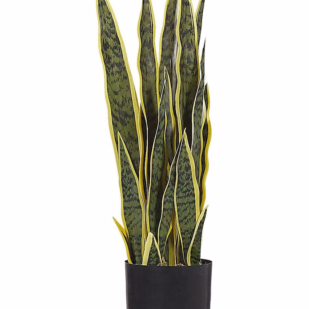Wyld and Coco Artificial Snake Plant in a Black Cement-Filled Pot, Green, Height: 63 cm – 2