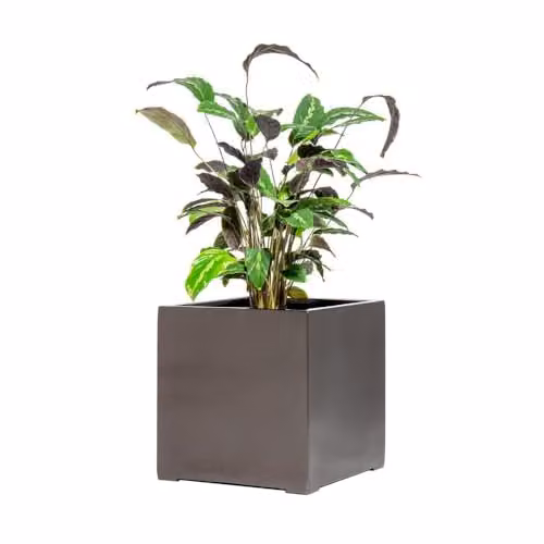 Primrose Polystone Cube Planter in Grey and White, W/D/H: 40 x 40 x 40 cm – 2