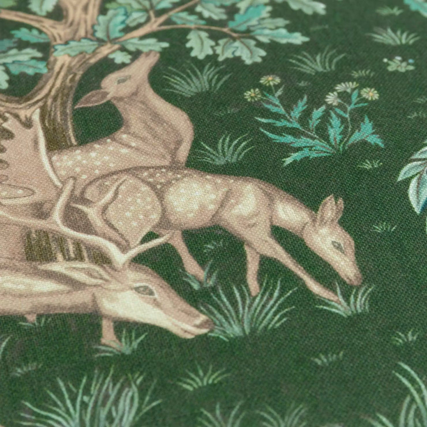 Morris & Co The Brook Floral Printed Outdoor Cushion in Green, W/D/H: 55 x 55 x 55 cm – 4