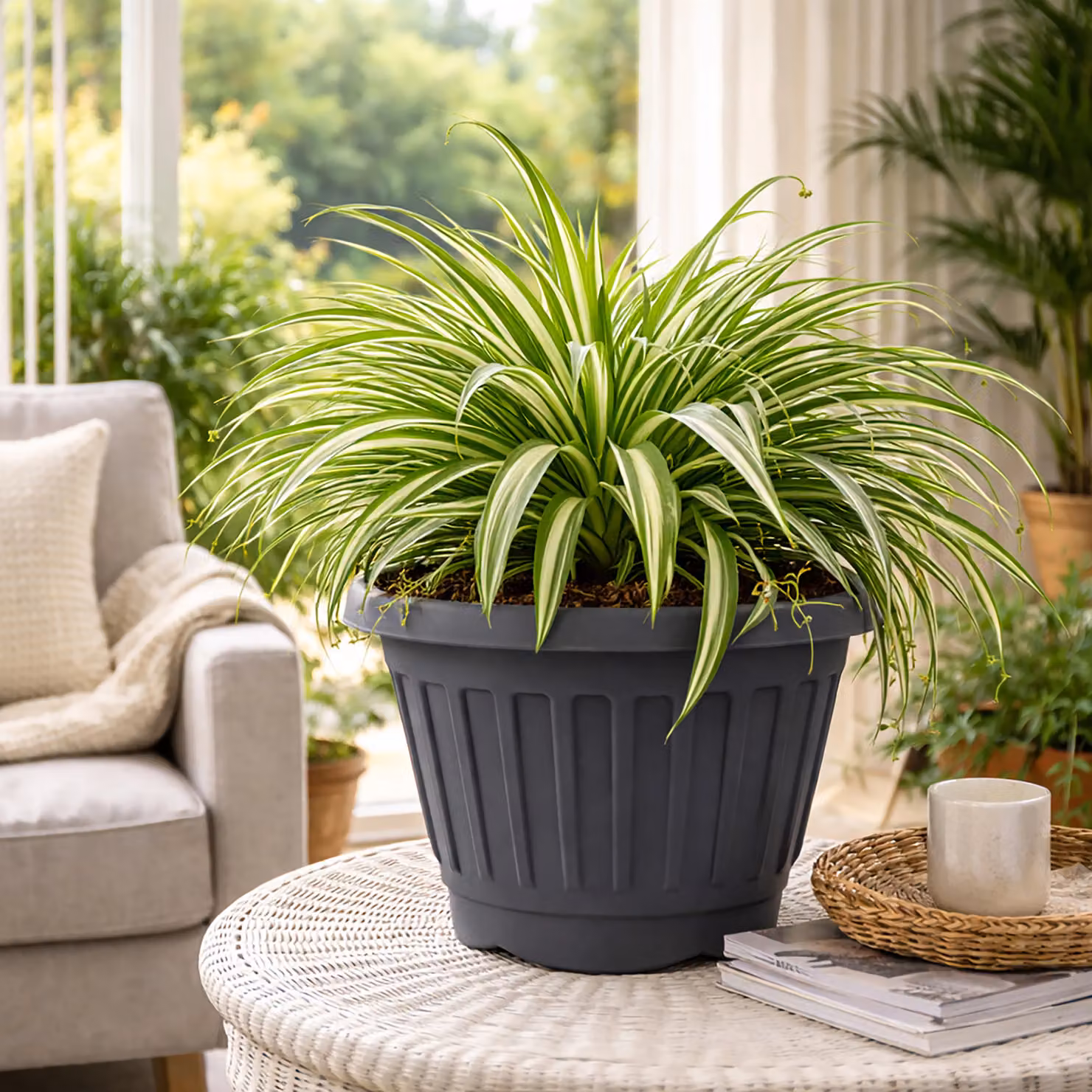 Simpa Set of 2 Round Chunky Black Plastic Planter Tubs, Diameter: 30 cm – 4