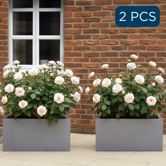 Idealist Set of 2 Grey Stone Trough Rectangular Garden Planters for Outdoor Herb and Vegetable Gardens