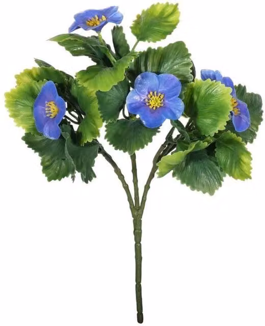 KDMD UV Resistant Purple Junglist Pansy Bush, 2 Pack, 21cm