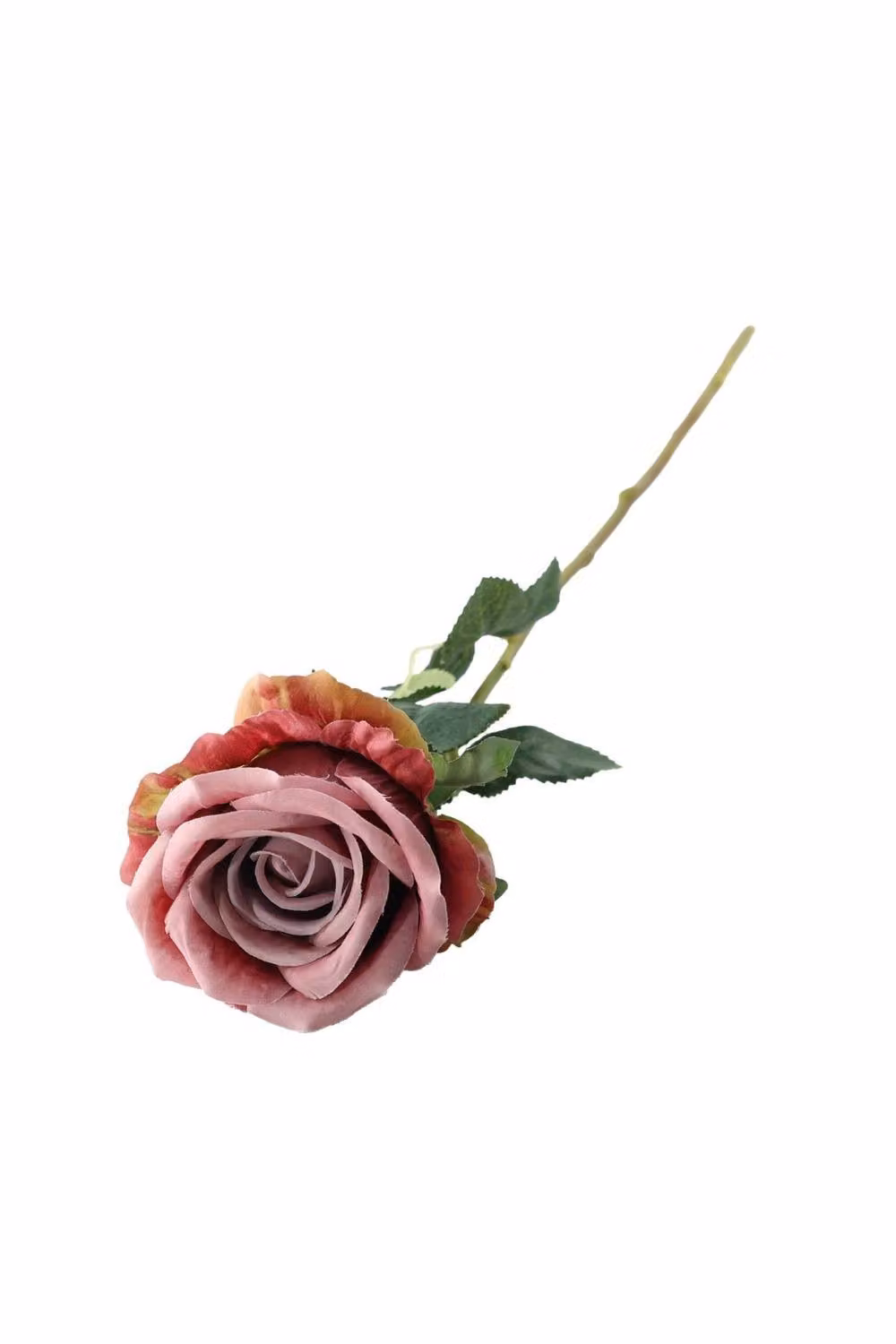 Essential Silks Dusky Pink Garden Rose – 2