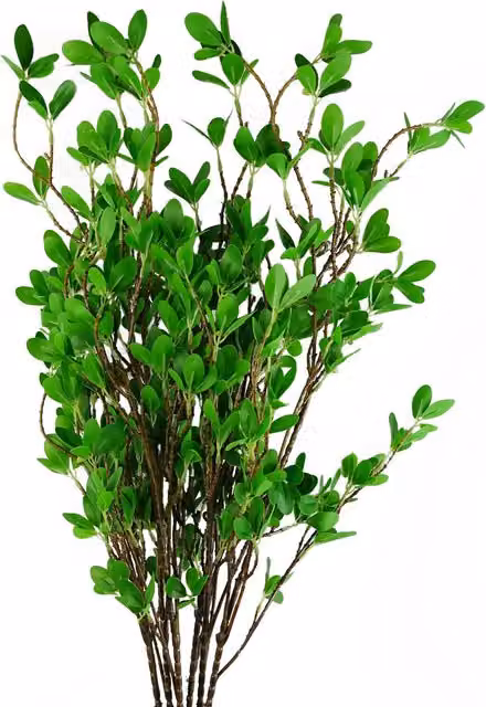 Green Mini Leaf Ficus Stems Plastic Artificial Tree