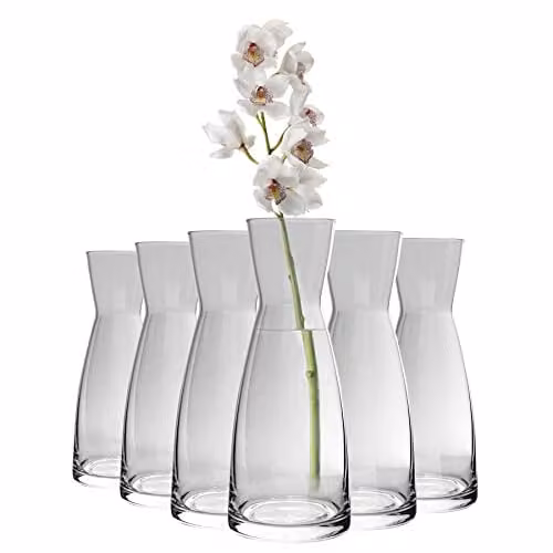 Bormioli Rocco Ypsilon Glass Carafes, 285ml, Pack of 6, Transparent
