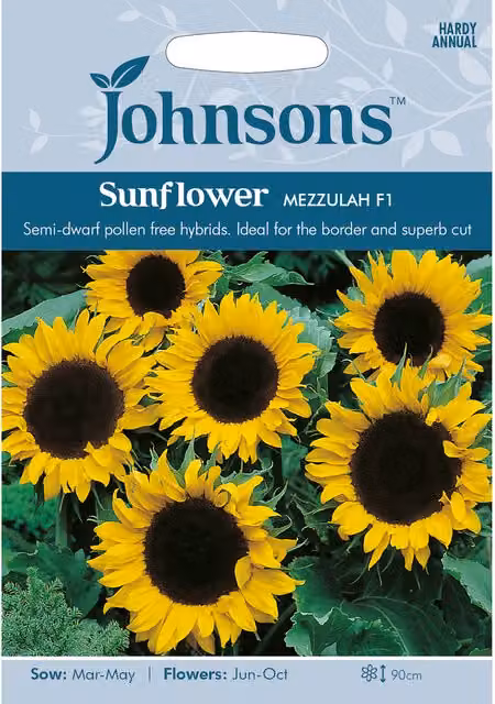 Johnsons Mezzulah F1 Yellow Sunflower Seeds