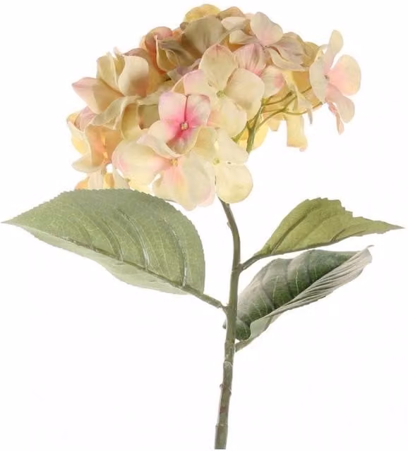 KDMD Single Large Hydrangea in White and Cream Blush, Height: 68 cm