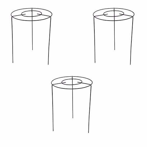 Garden Gear Double Round Grow Through Grid Ring Plant Support, Height: 60 cm, W/D/H: 40 x 40 x 60 cm, Pack of 3