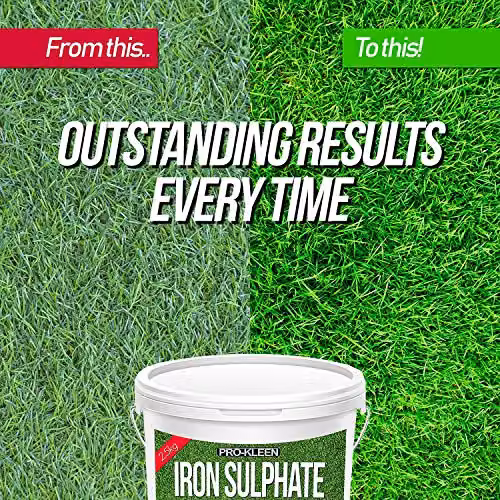 Pro-Kleen Premium Iron Sulphate Liquid Lawn Tonic and Plant Conditioner, 10 l – 3