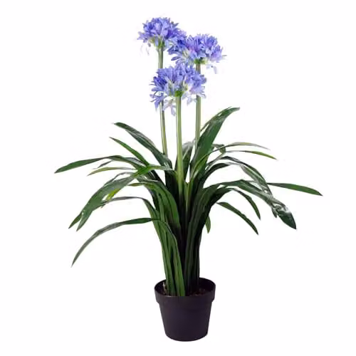 Leaf Design UK Blue Agapanthus Artificial Blossom Tree in Pot, Height: 90 cm