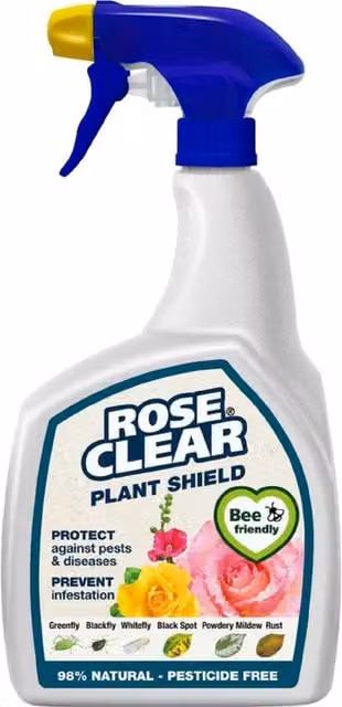 Evergreen Rose Clear Plant Shield Spray Pesticide Free Bug Killer and Fungus Control, 800ml