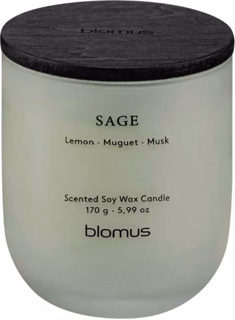 Blomus Tuoksu Sage S Scented Soy Wax Candle in Desert Sage Green