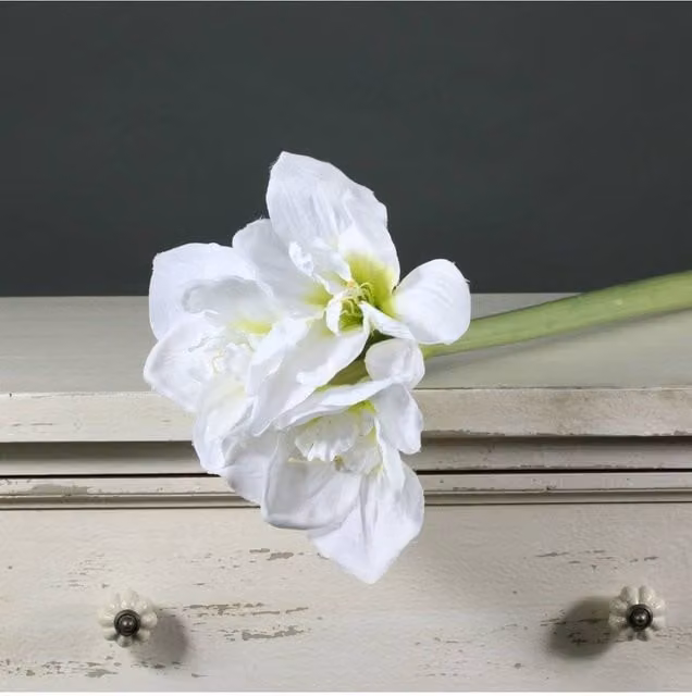 KDMD Amaryllis Spray White Artificial Flowers, Height: 60 cm