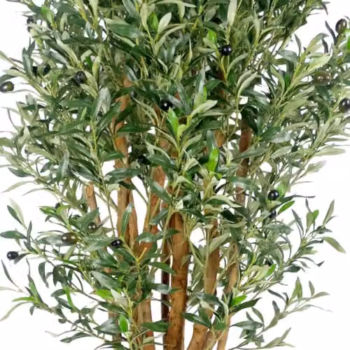 Leaf Design UK Realistic Artificial Olive Tree in Green with Black Plastic Pot, Height: 125 cm – 3