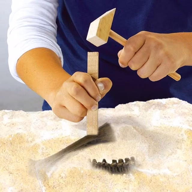 SES T-Rex Skeleton Excavation Kit in Blue