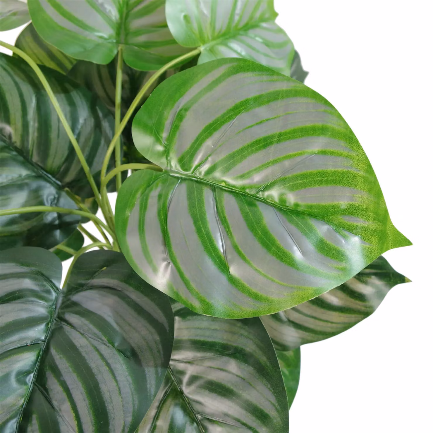 Leaf Design UK Realistic Striped Green and Black Artificial Potted Plant, Height: 60 cm – 3