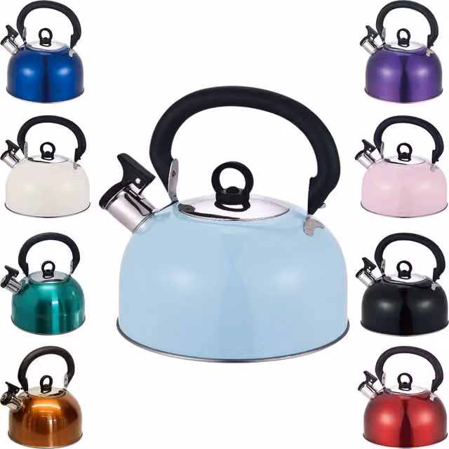 Buckingham Stainless Steel Camping Whistling Kettle in Sky Blue