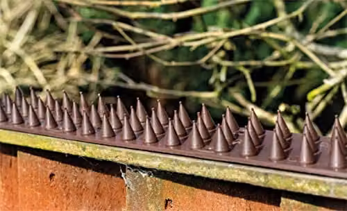 St Helens Home & Garden Small Animal Anti Climb Wall and Fence Deterrent Spikes, Pack of 10, Brown – 4