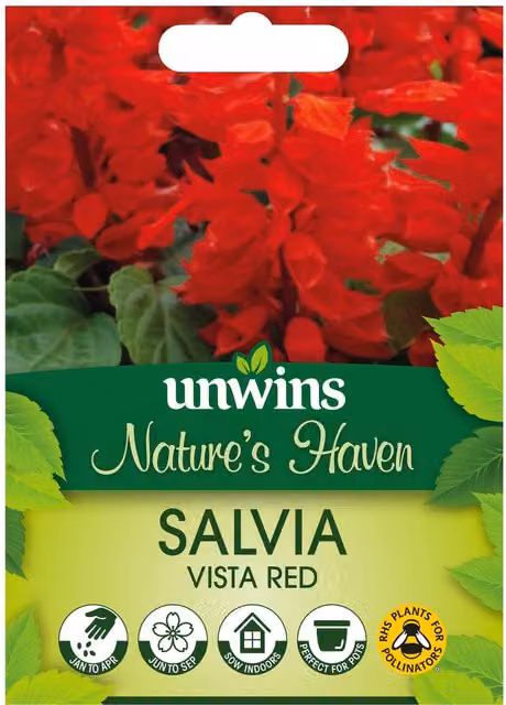 Marshalls Garden Red Ornamental Flower Seeds for Spring Planting