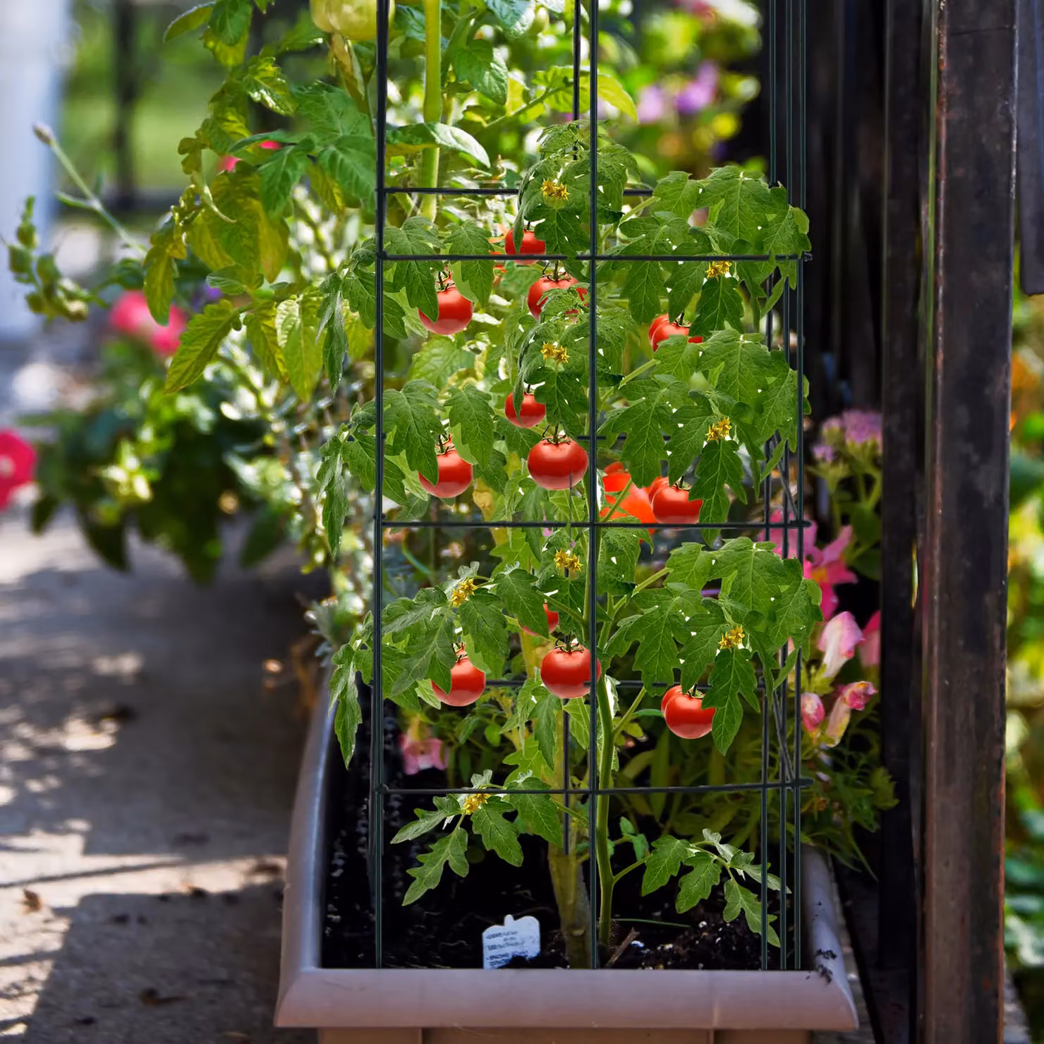 Costway 4 Pack Metal Tomato Cage Plant Support Stakes in Green – 4