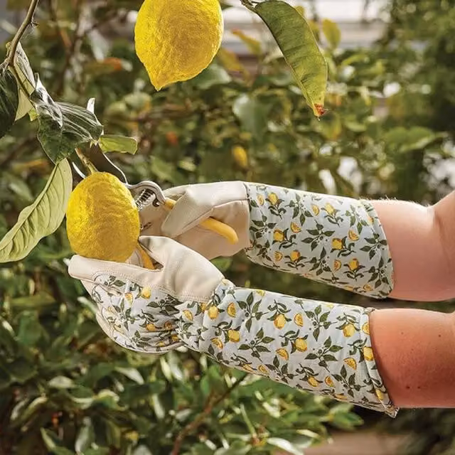 Garden Mile Heavy Duty Forearm Gardening Gloves in Grey and Multicolour