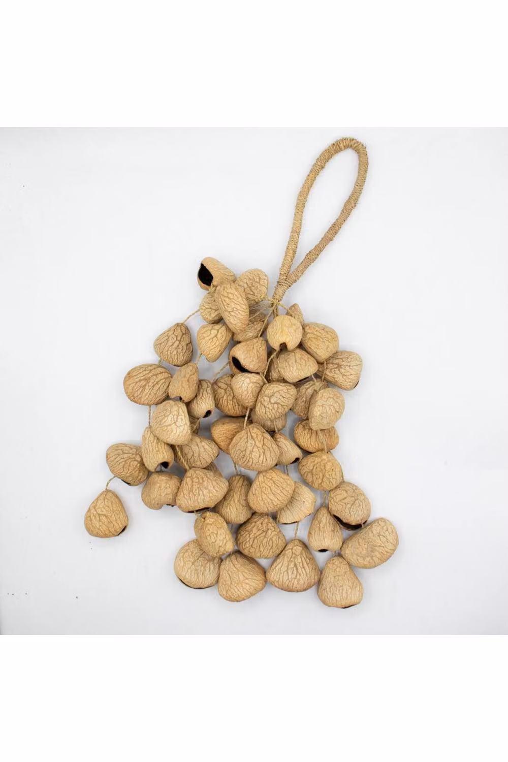KDMD Large Pangi Seed Shell Natural Nut Shaker, 50 Shells in Beige – 3
